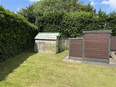 Picture 16